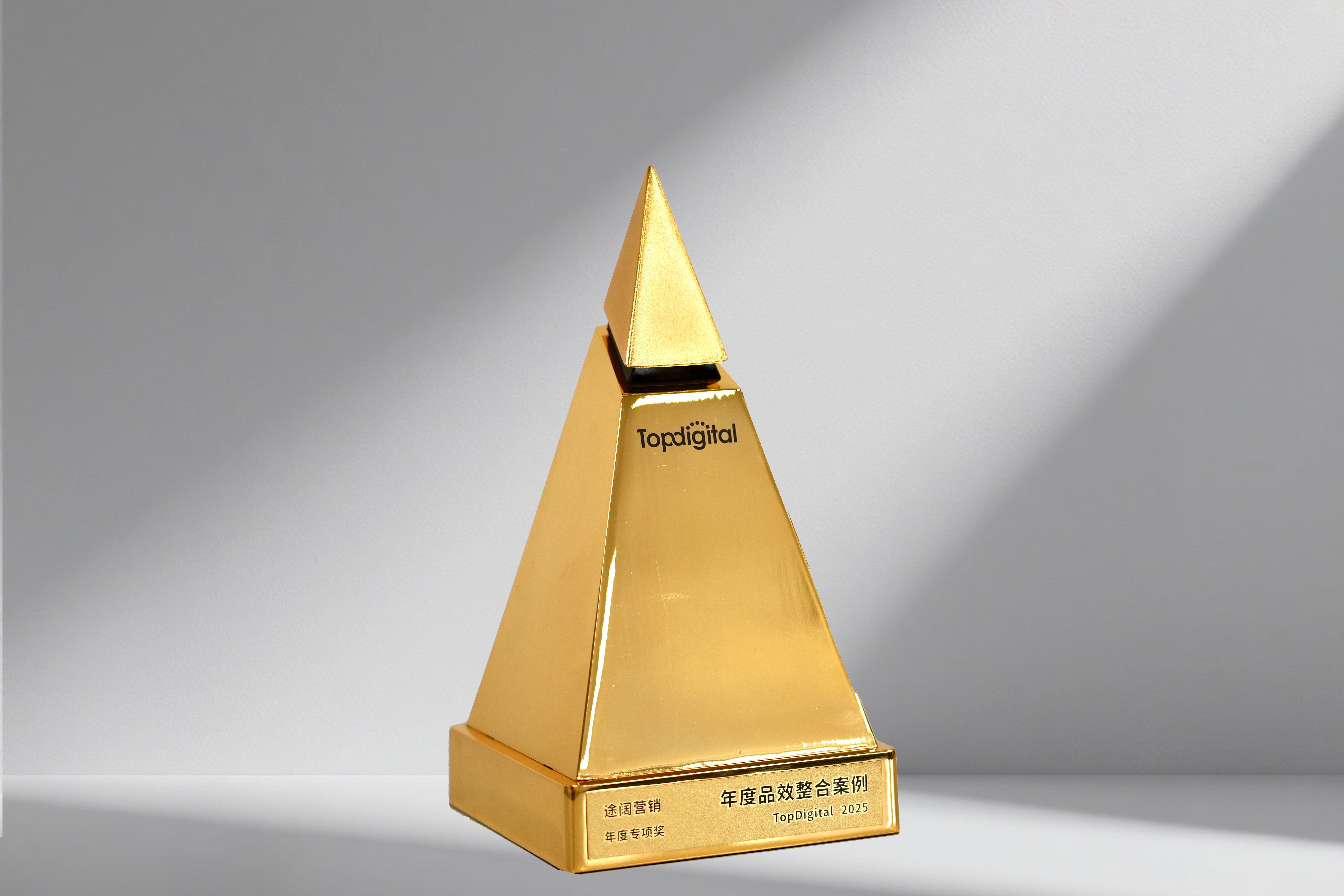 2025年TopDigital年度专项奖